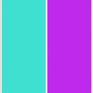 Meet your Posher, Princess